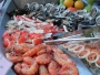 dscn5452
