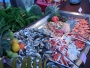 dscn5467
