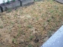 20151023_173530