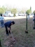 bamboo-10