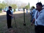 bamboo-11