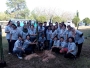 bamboo-14
