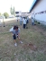 bamboo-6