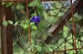ush_6555