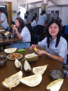 photo232