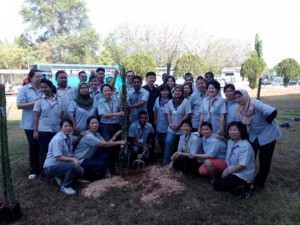 bamboo (14)