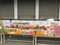 IMG_4358.JPG